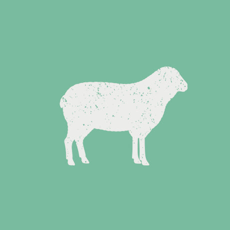 Buy Lamb Online